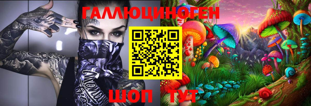Зеленокумск  Псилоцибиновые грибы прущие грибы  Вход с VPN 
