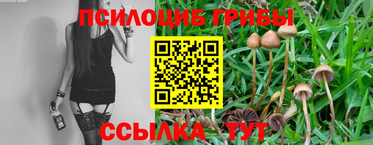 Галлюциногенные грибы Psilocybine cubensis Зеленокумск